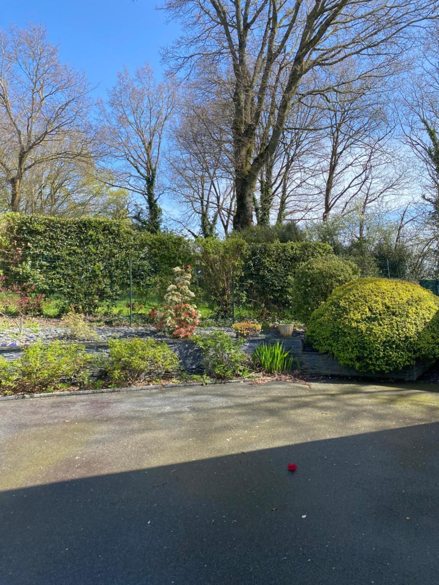 Studio, Sur Le Chemin Des Hortensias Ploërmel Exterior foto